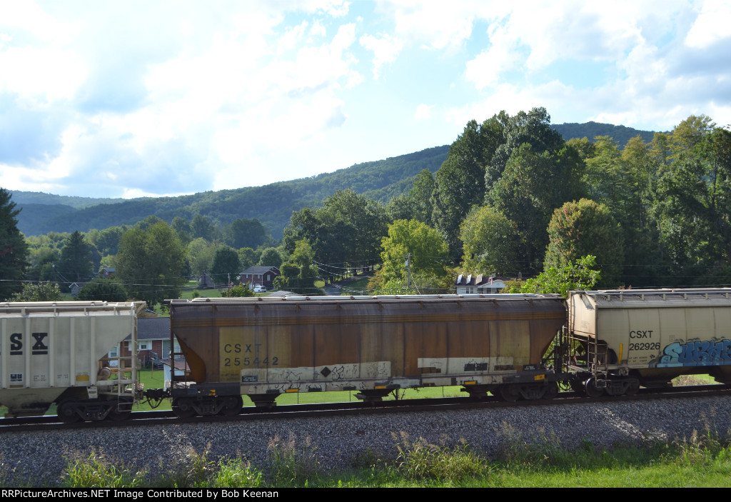 CSXT 255442